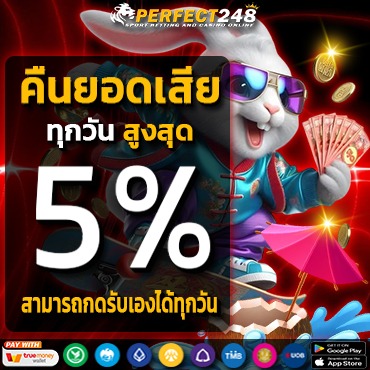 คืนยอดเสียทุกวัน